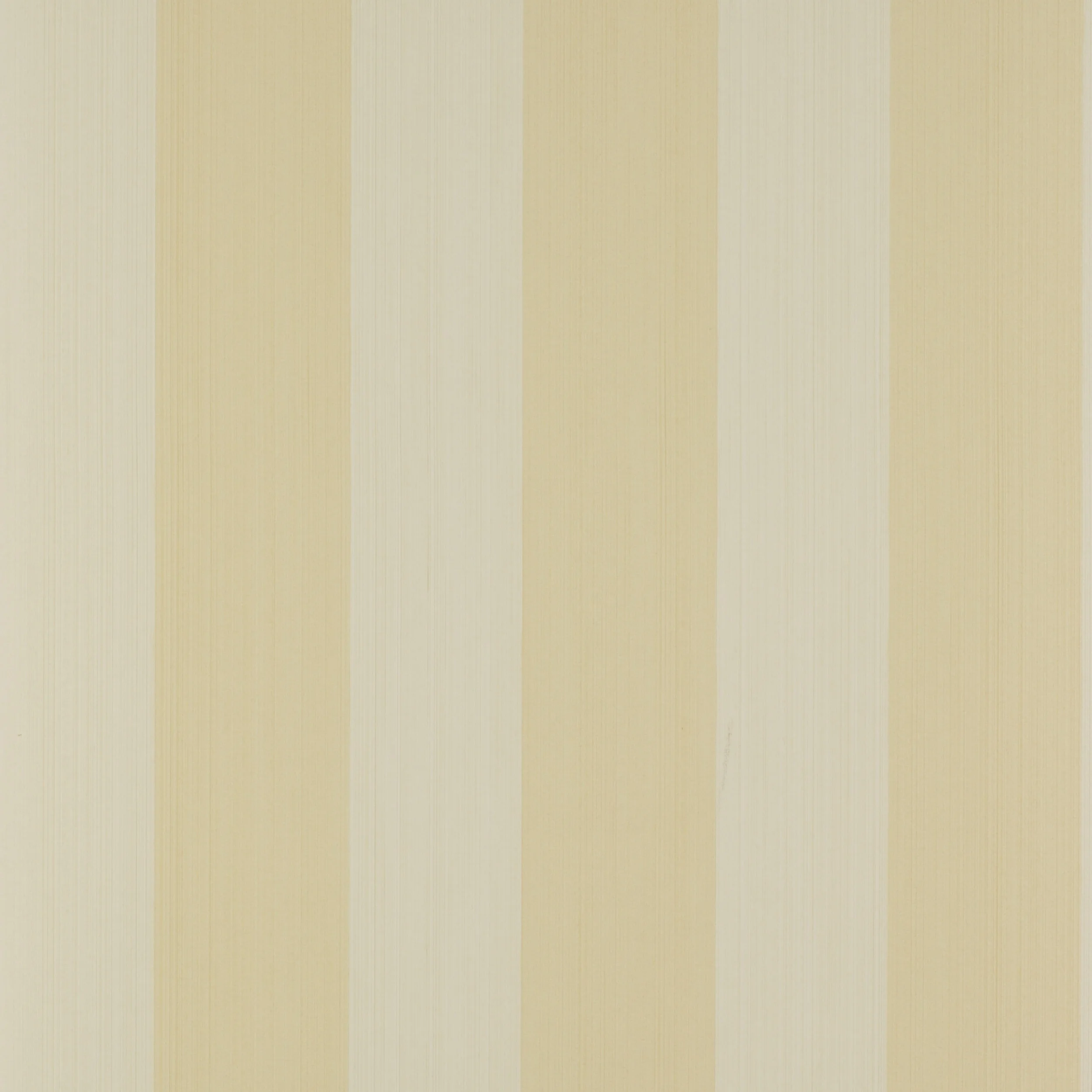 Yellow/Cream