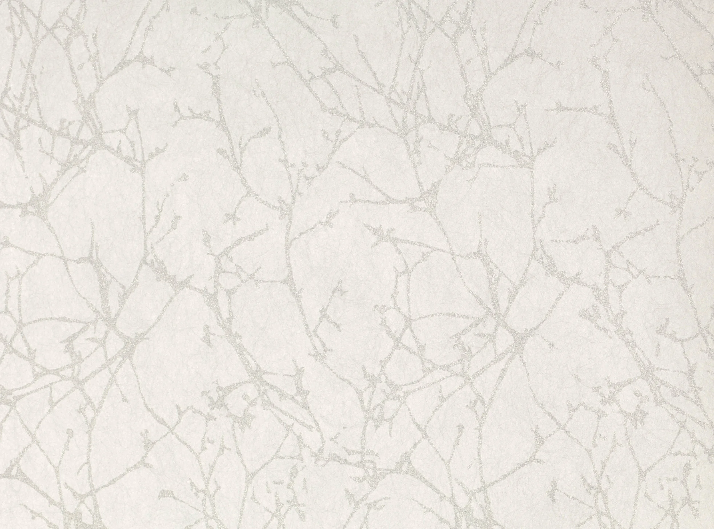 Gull Grey