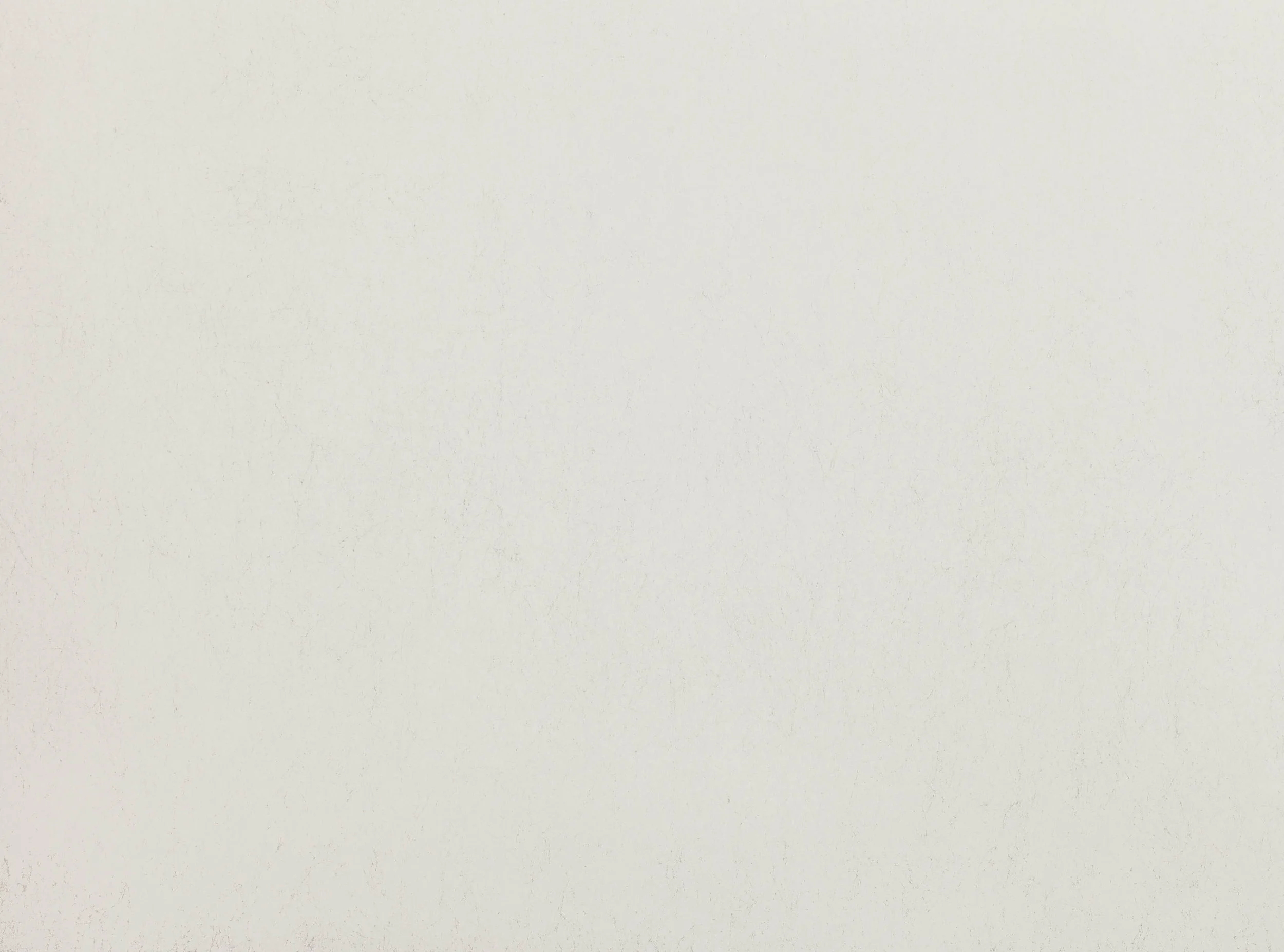 Gull Grey