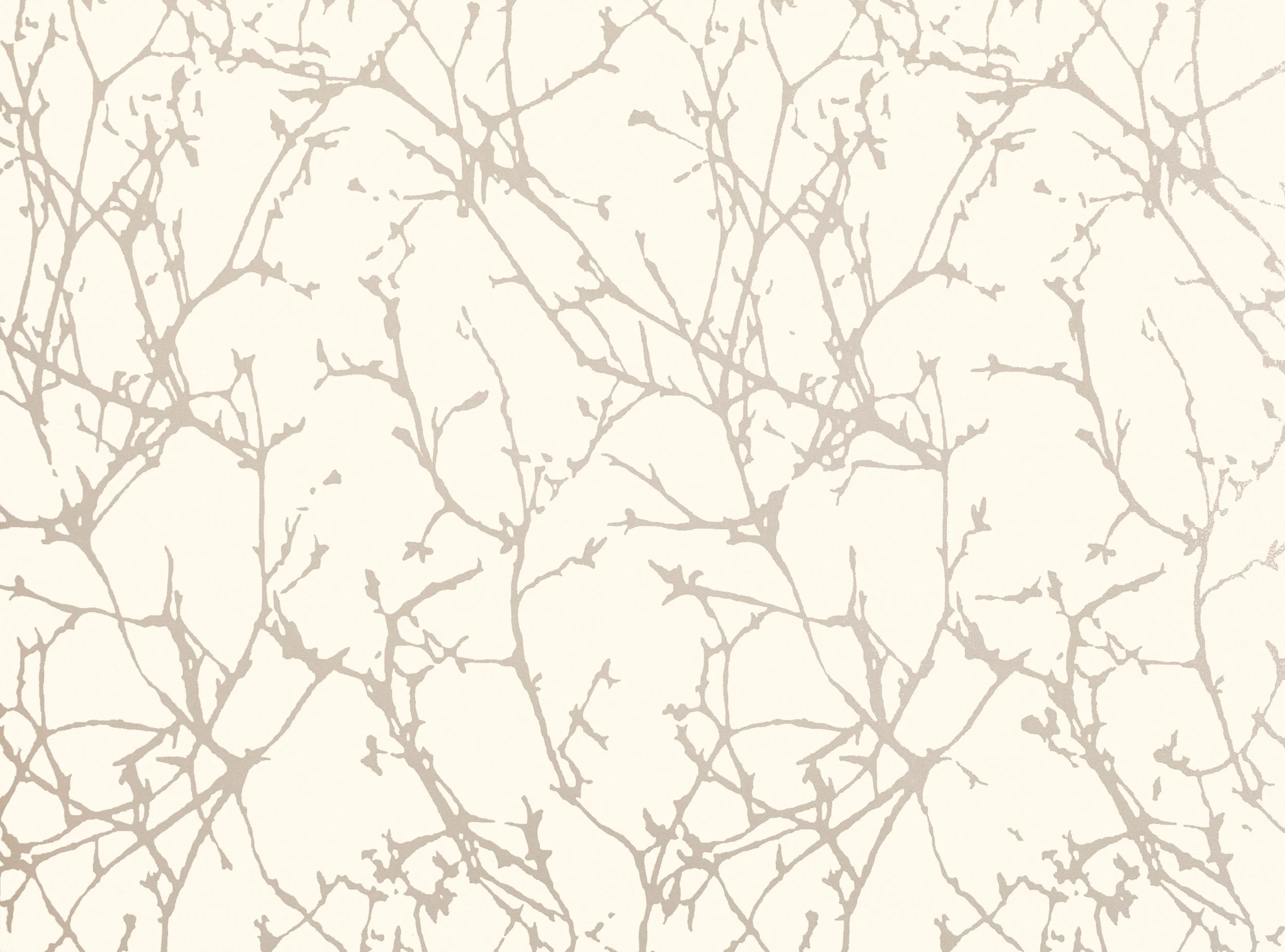 Whitewash