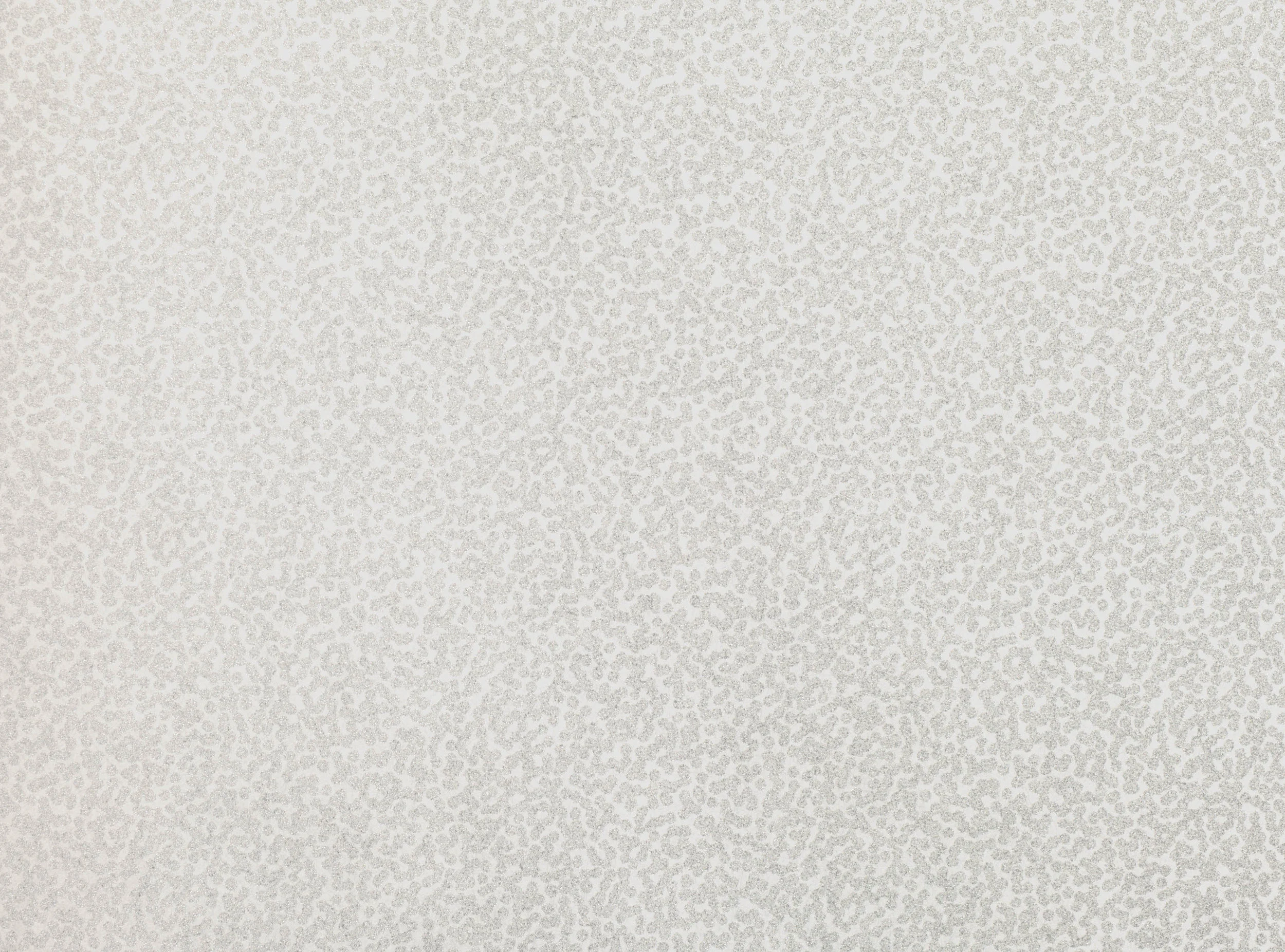 Gull Grey