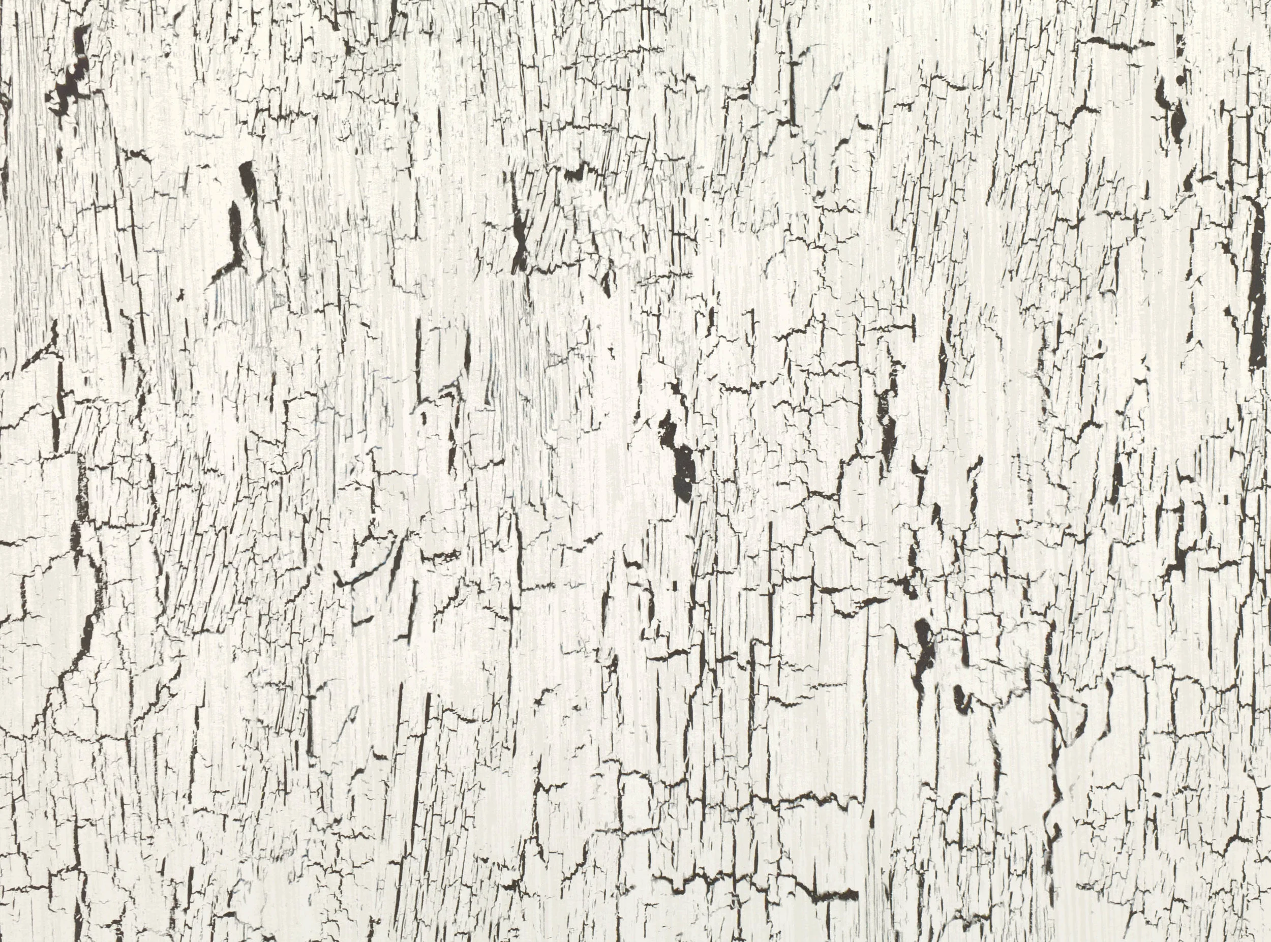 Whitewash
