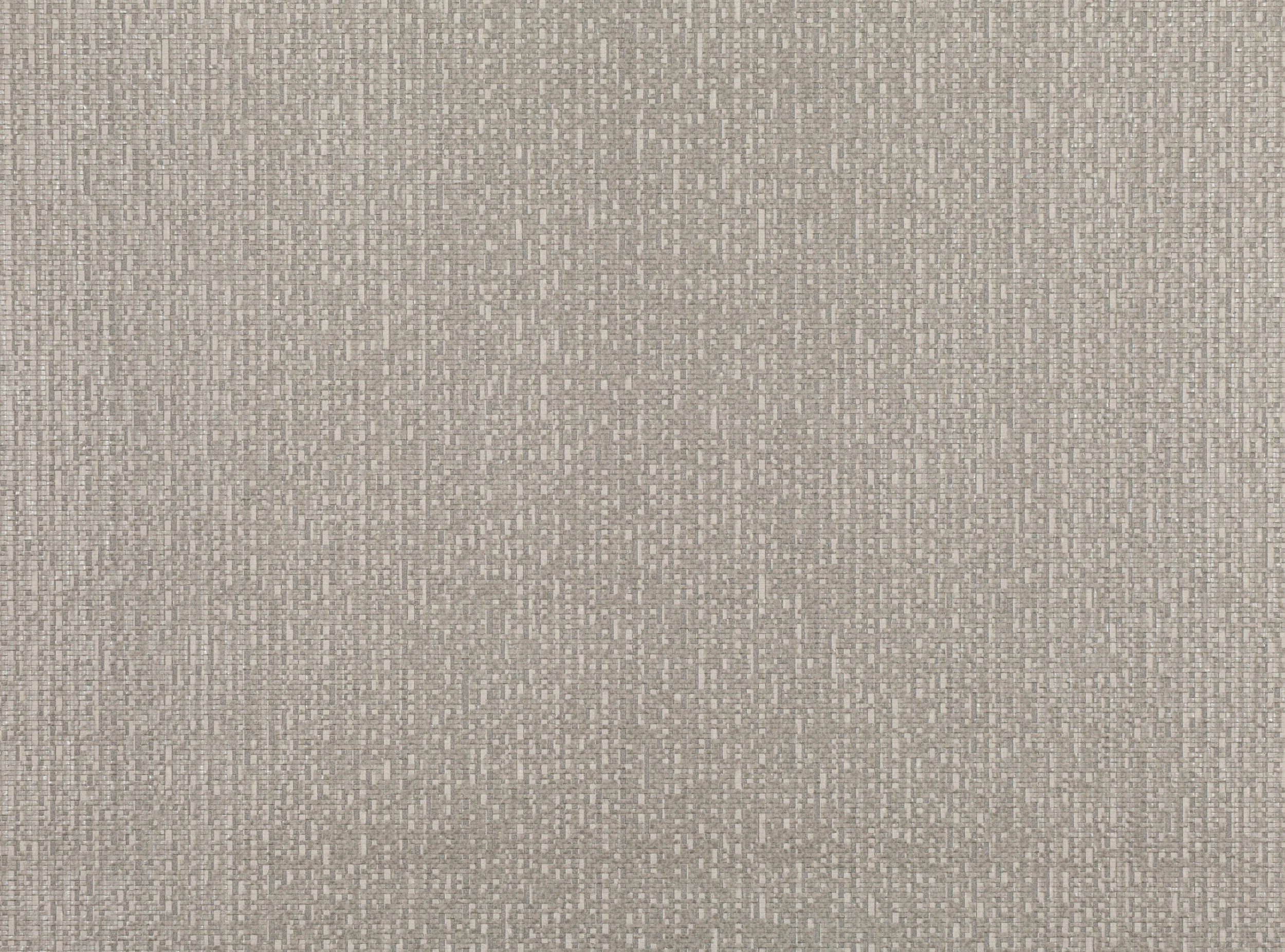 Feather Grey