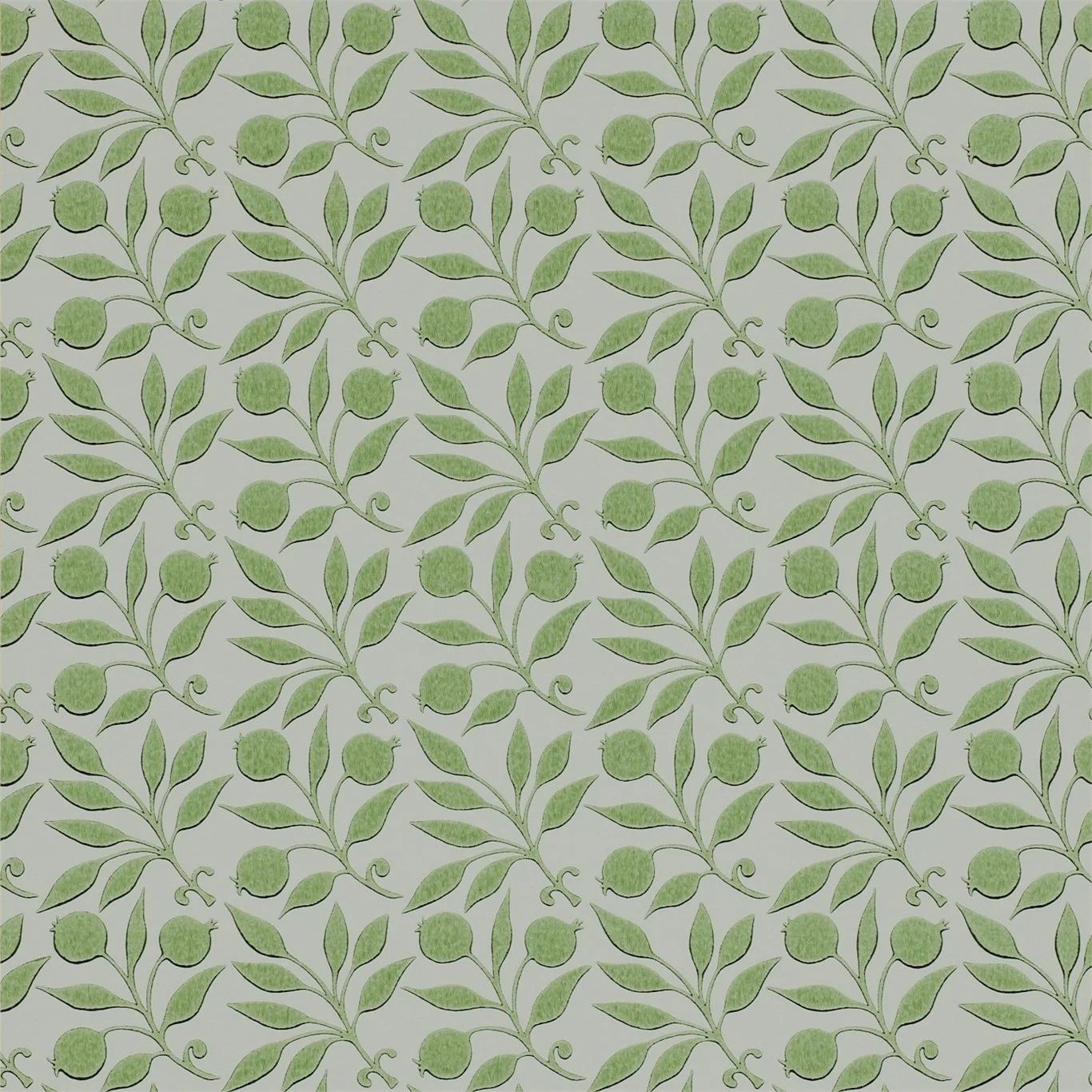 Thyme