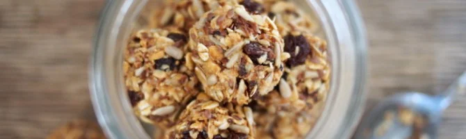twist-eats-protein-balls-670x200.jpg