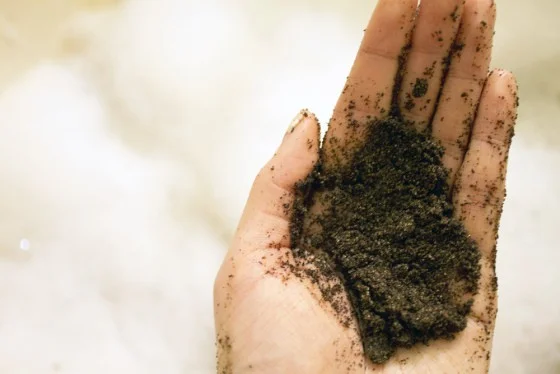 cofee-scrub.jpg