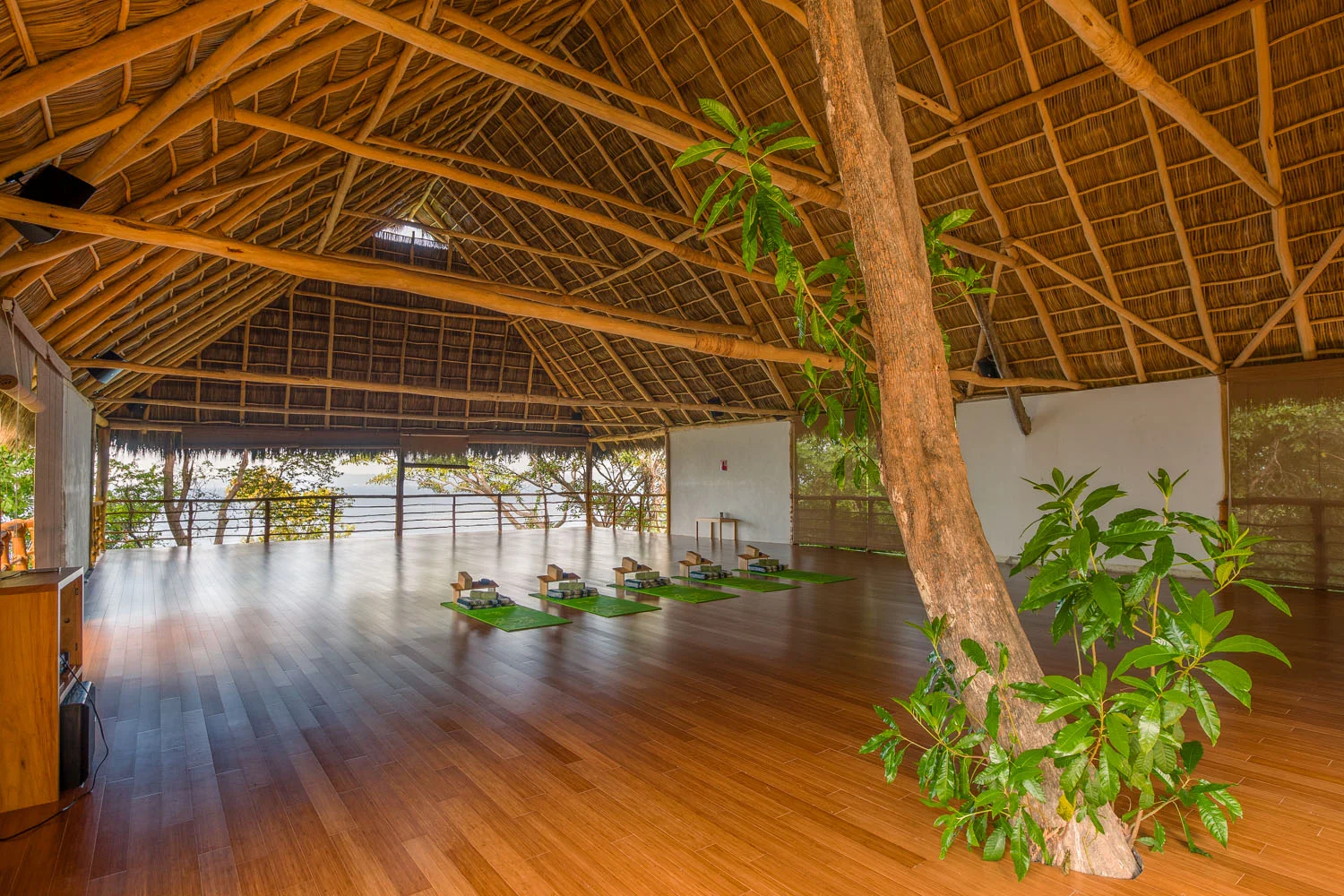 $500 NON REFUNDABLE deposit per person holds your spot All prices are per person There are FOUR lodging options and they are offered as a single/private occupancy option double/shared occupancy (you must provide your roommate - we don't make matches). Some rooms have the option of one king bed or two double beds. Remember, the Big Palapa is a shared room. The small print: Full payment is due Jan 27, 2020 Deposit is non-refundable. Refunds - minus deposit - are available 60 days prior to the retreat. After March 1, no refunds are available.