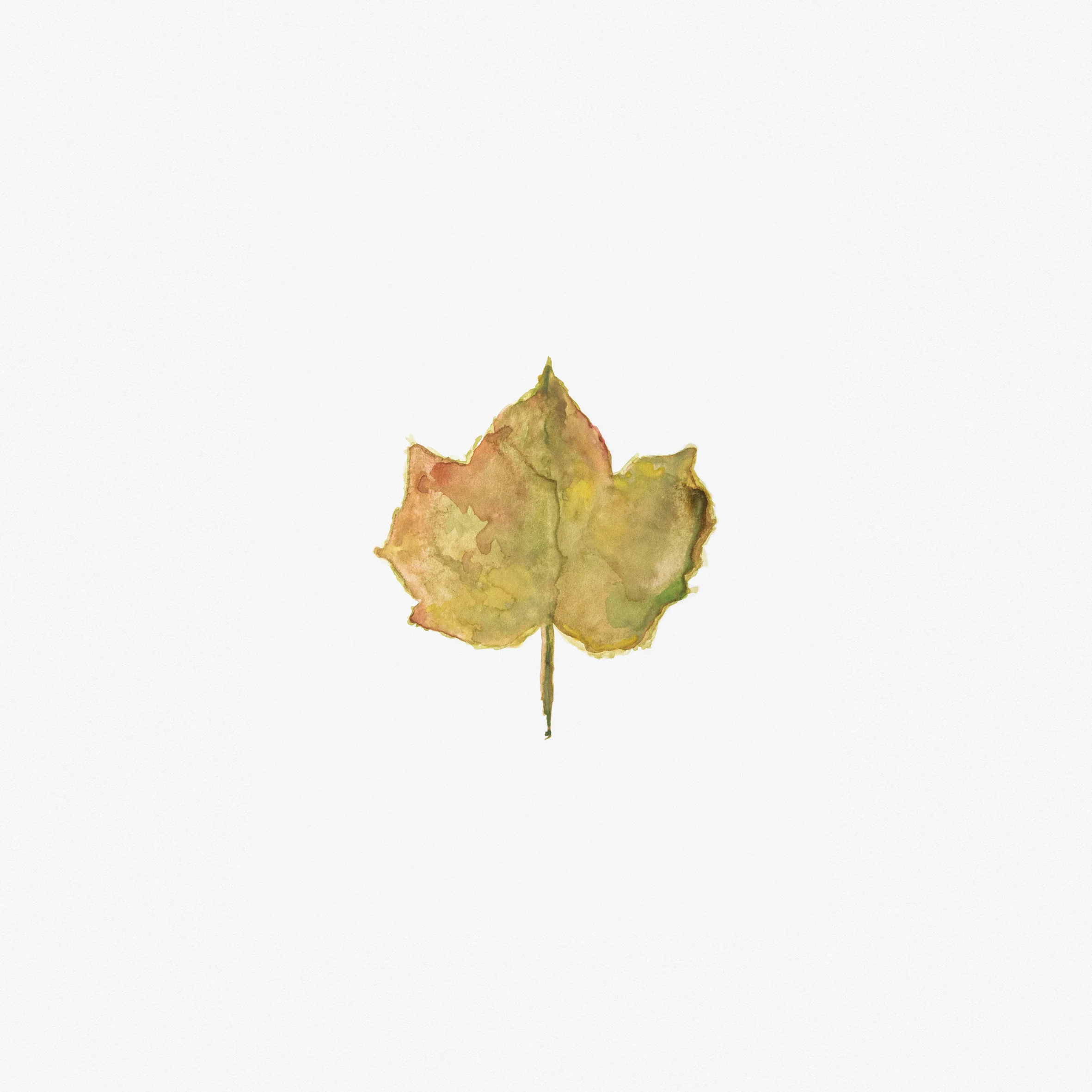 leaf-watercolour-painting.jpg