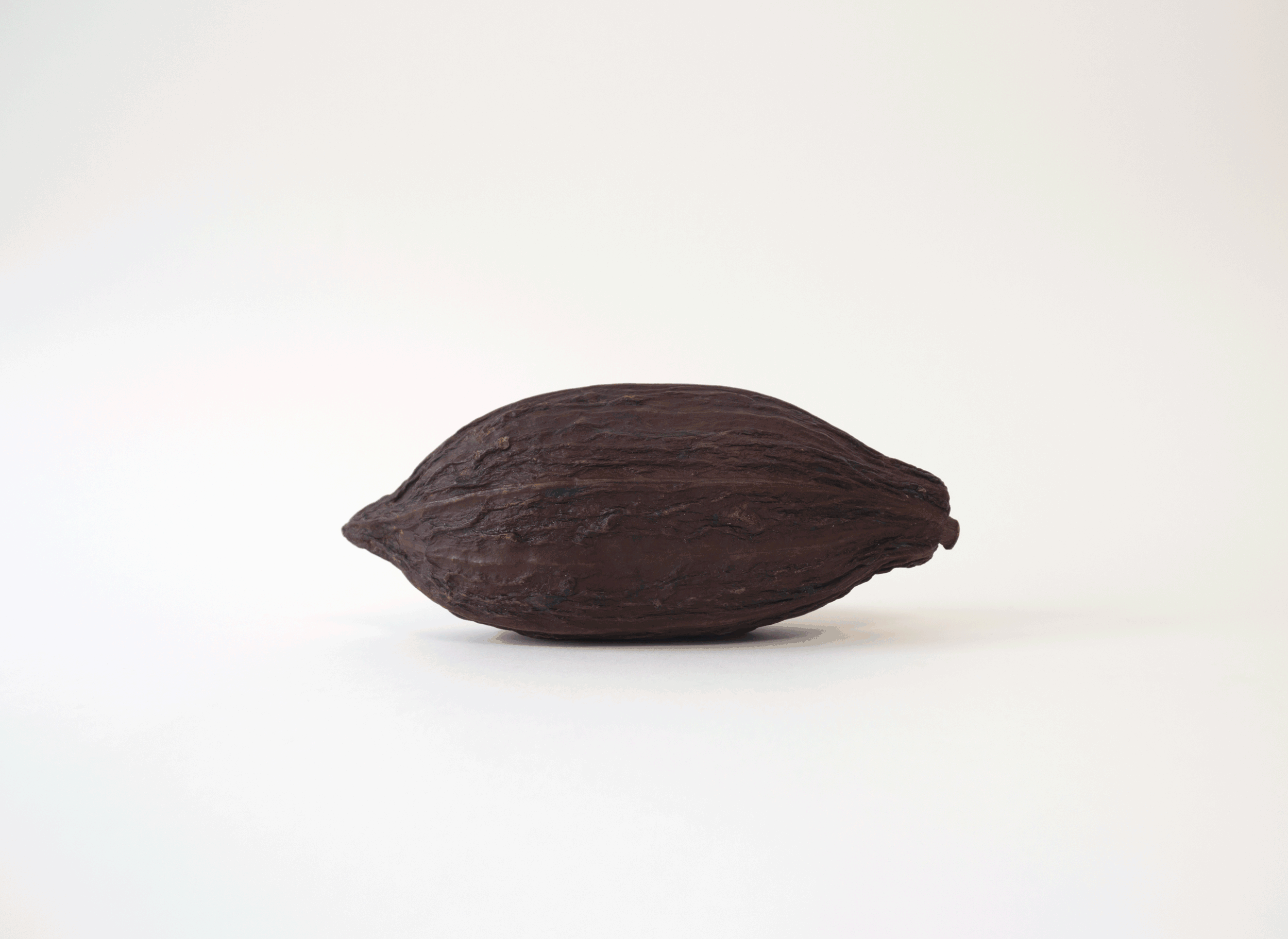Larkin-Cacao.gif