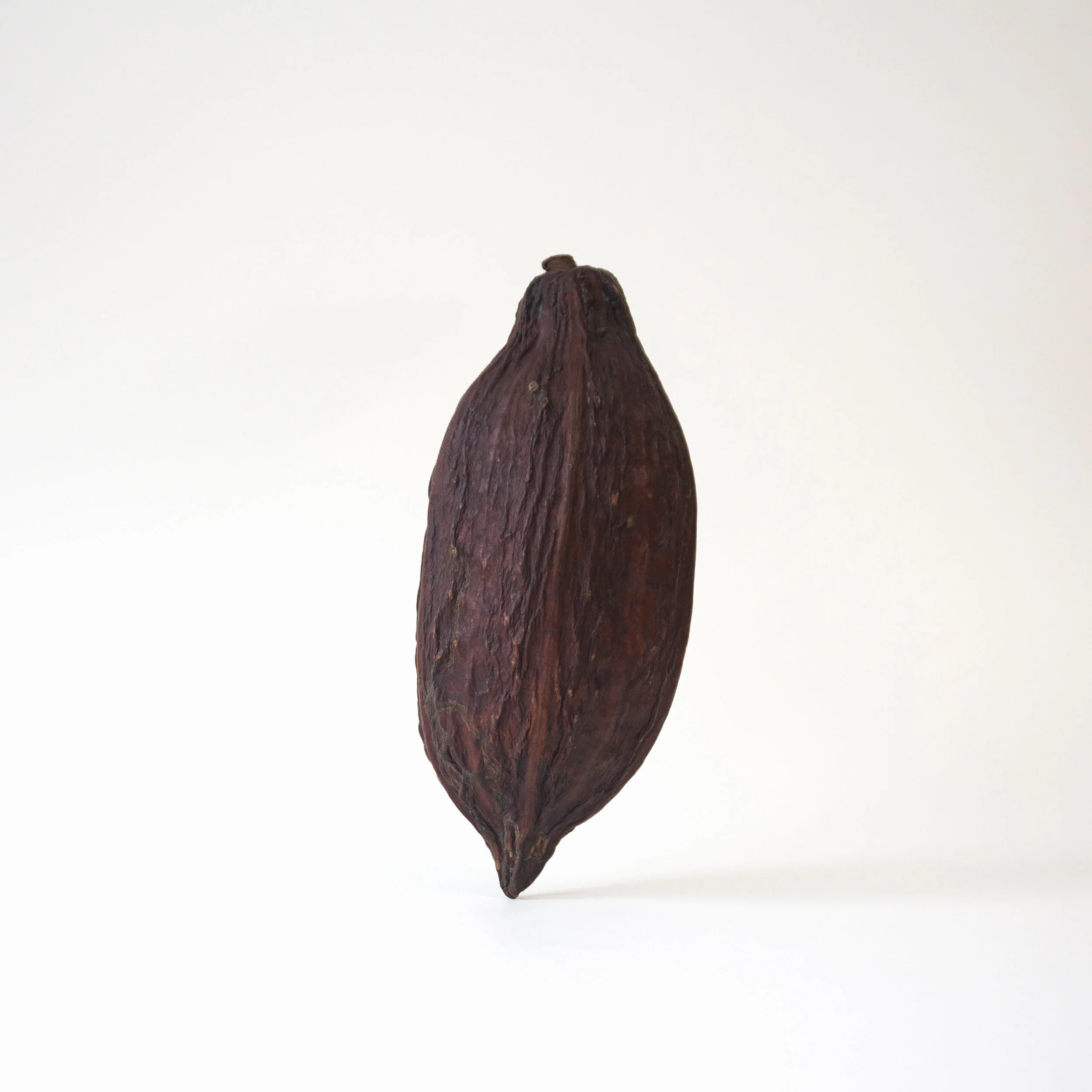 cacao-pod-01.jpg