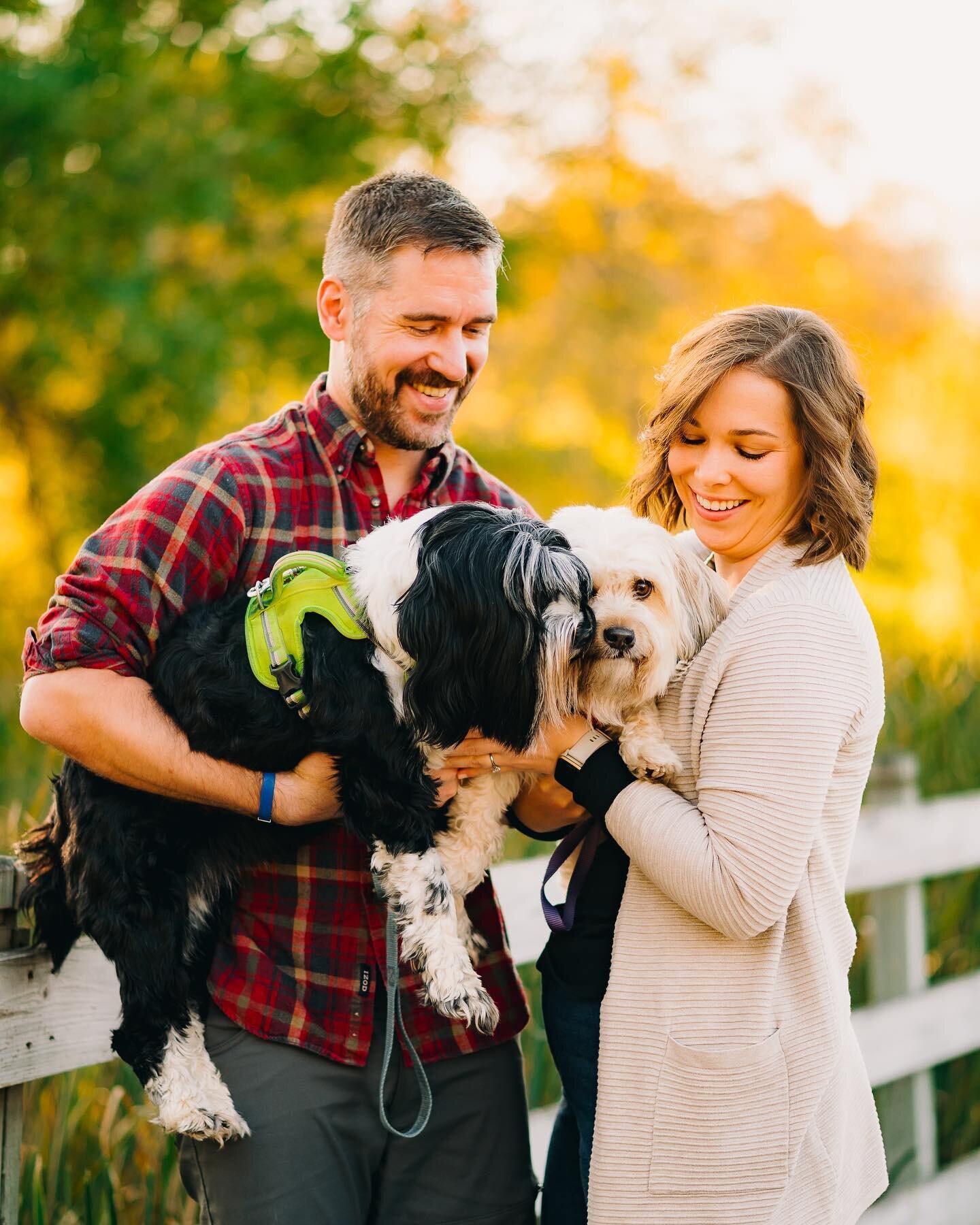 We had the most perfect fall evening for Jeanette &amp; Jake&rsquo;s engagement session! 😍 Their pups Sandy &amp; Nissa joined us for the first half and were such good little models 🥹

I love their easygoing, lighthearted energy! The fun they have 