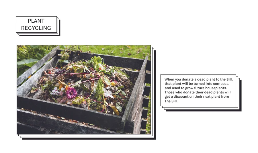 plant recycling.jpg