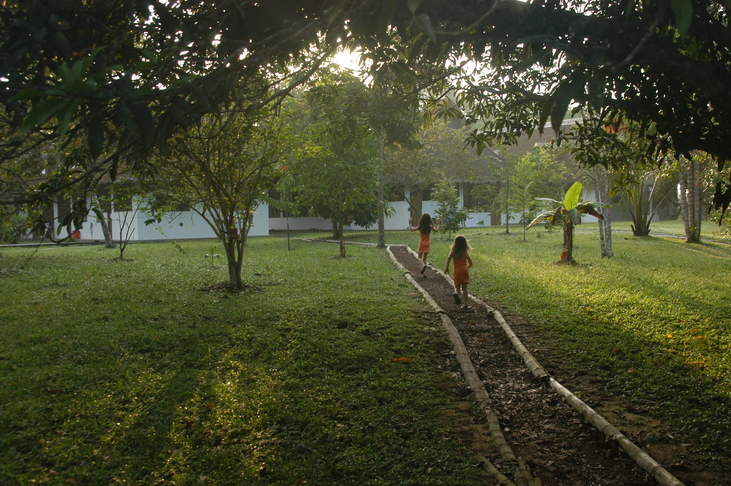    Los Amigos Biological Station   , Peru, 2008  