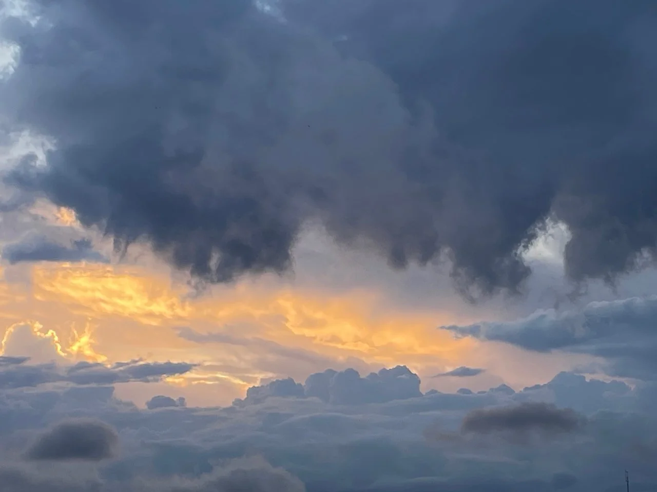 Looking back on XPRIZE Rainforest