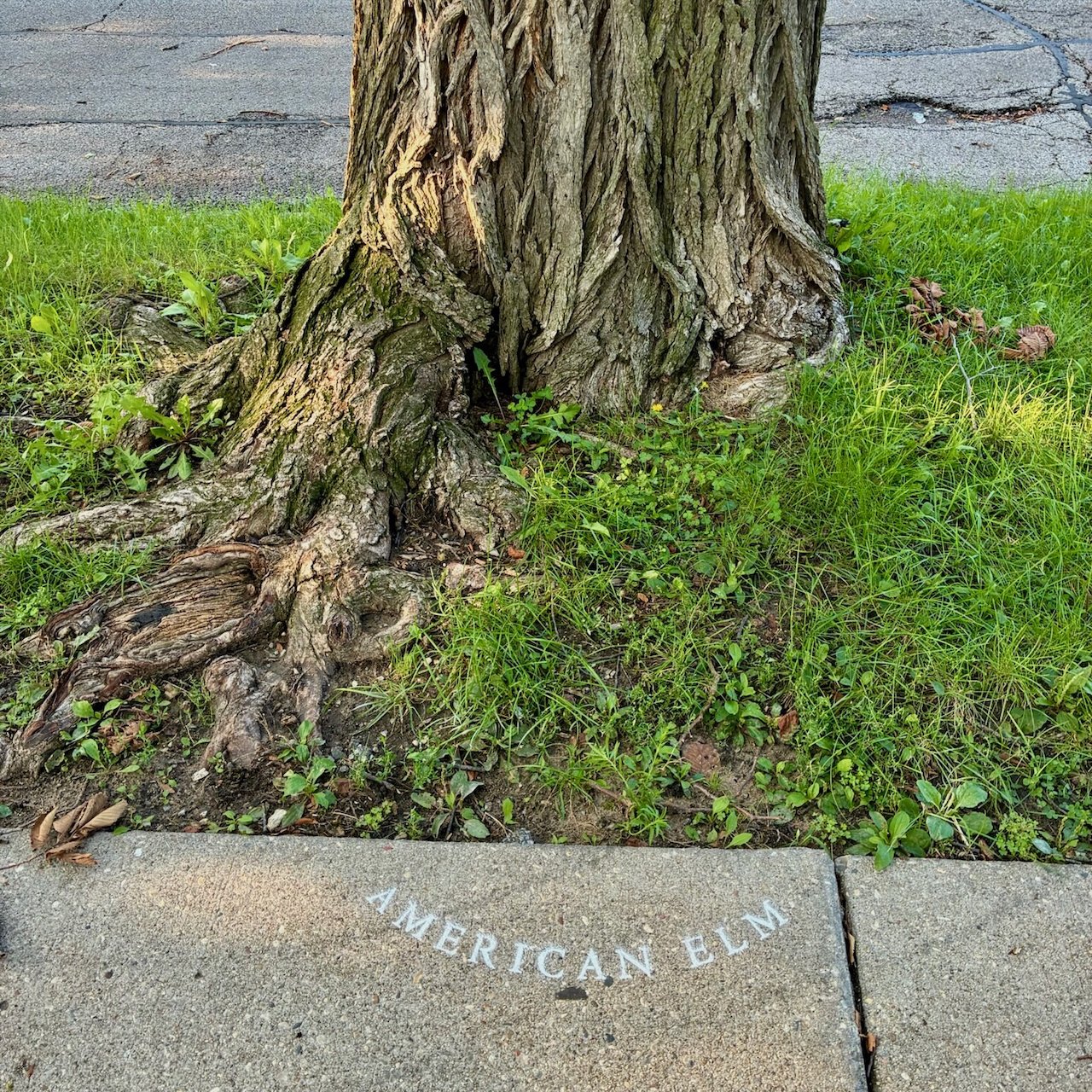 IMG_5404 (1).jpeg