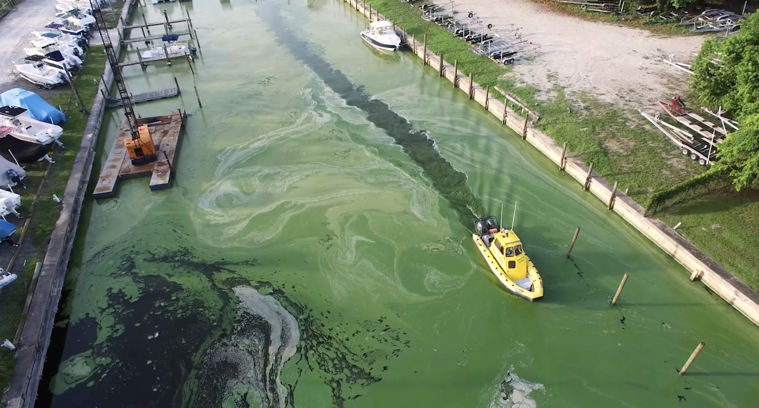 Benny Blanco - On The Front Lines In The Fight For The Everglades