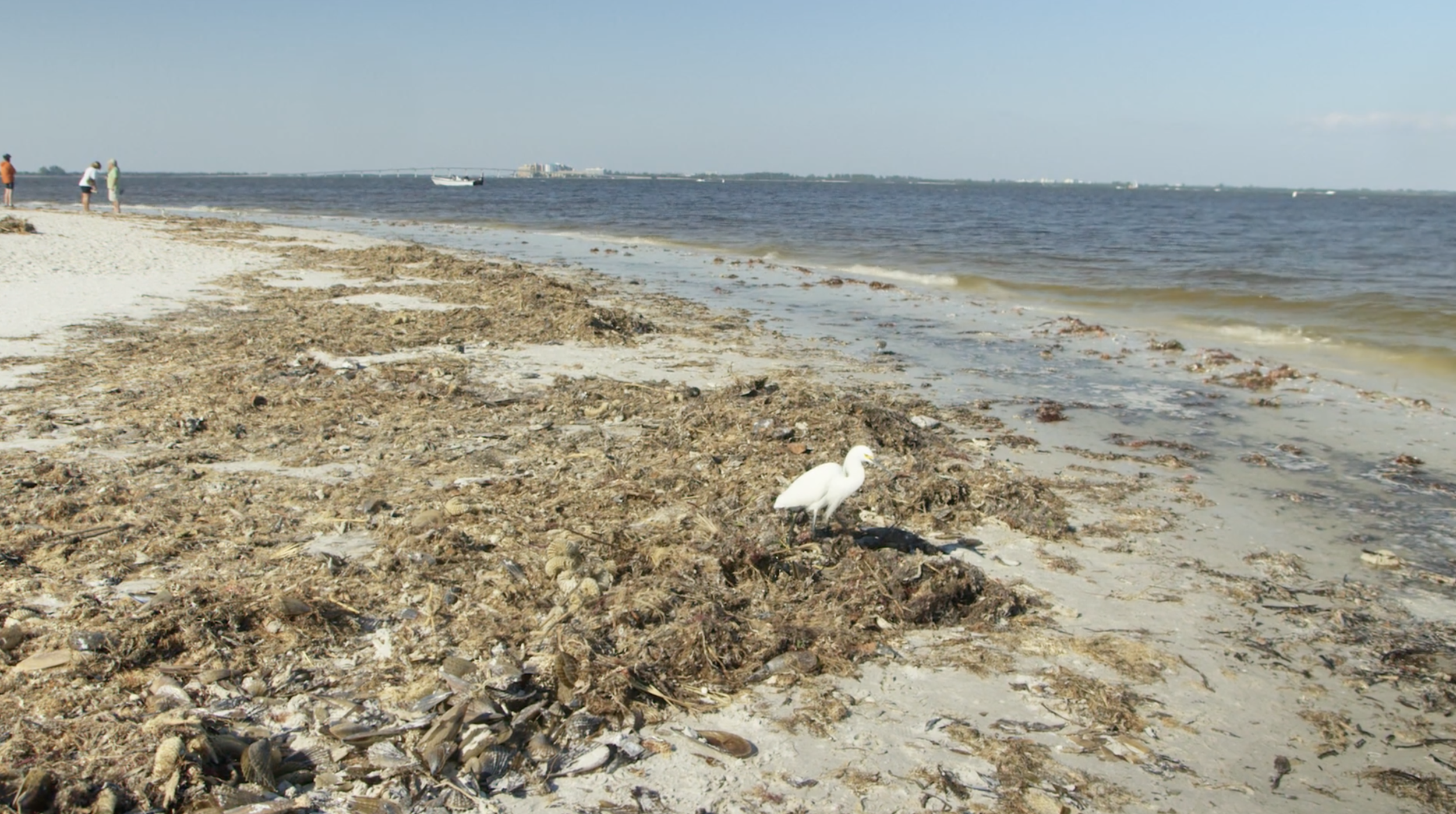 How You Can Make A Difference In The Fight For The Everglades