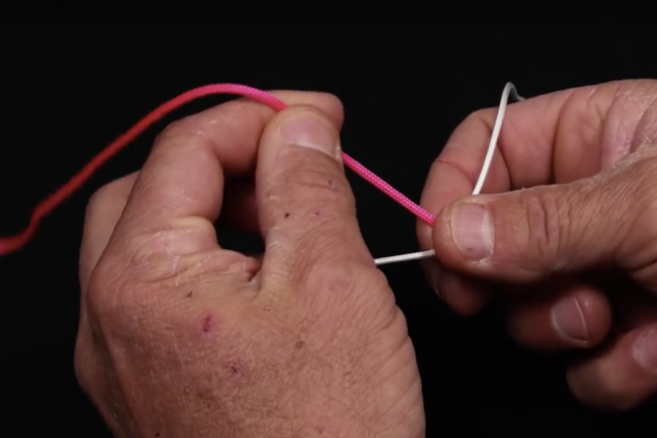The Blood Knot