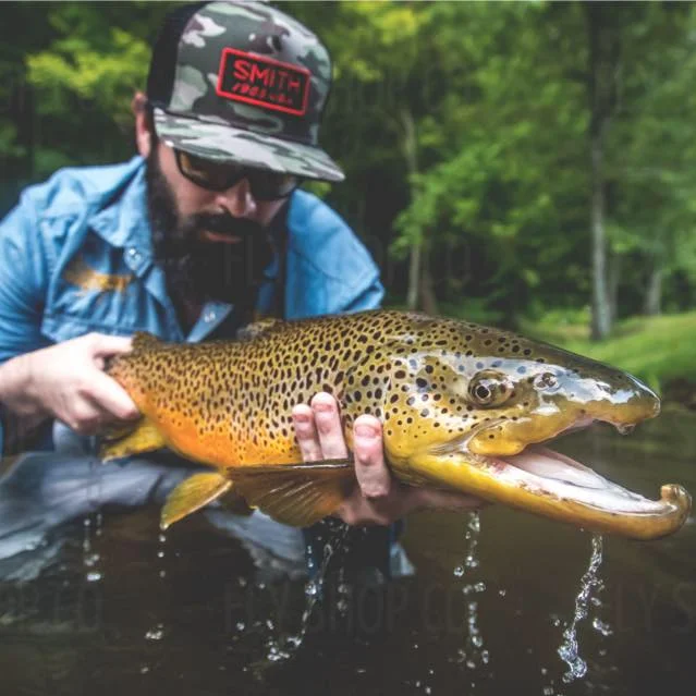 Will Taylor – Guiding For Giant Georgia Trout, Figuring Out Sponsorship And Life