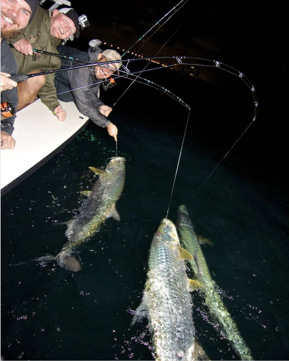 Russell Kleppinger - 814 Tarpon In One Year