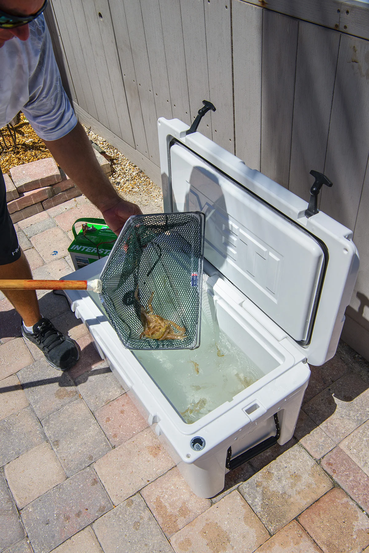 Jeff Maggio - How To Keep Shrimp Alive