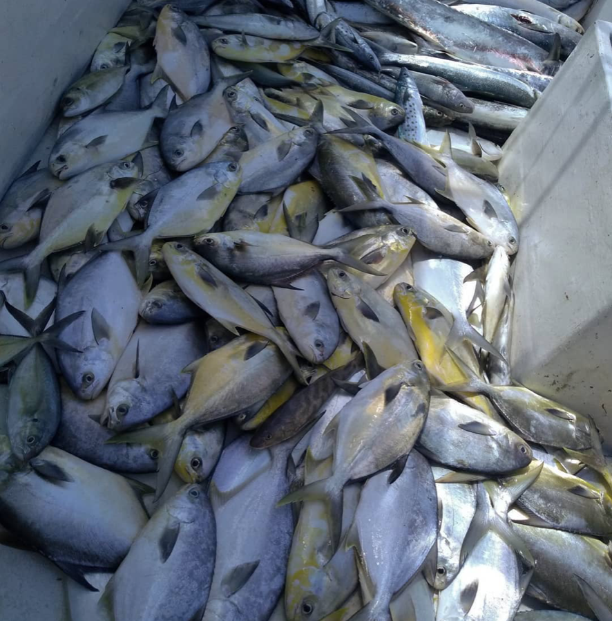 How To Catch Pompano Ft. Capt. Matt Budd