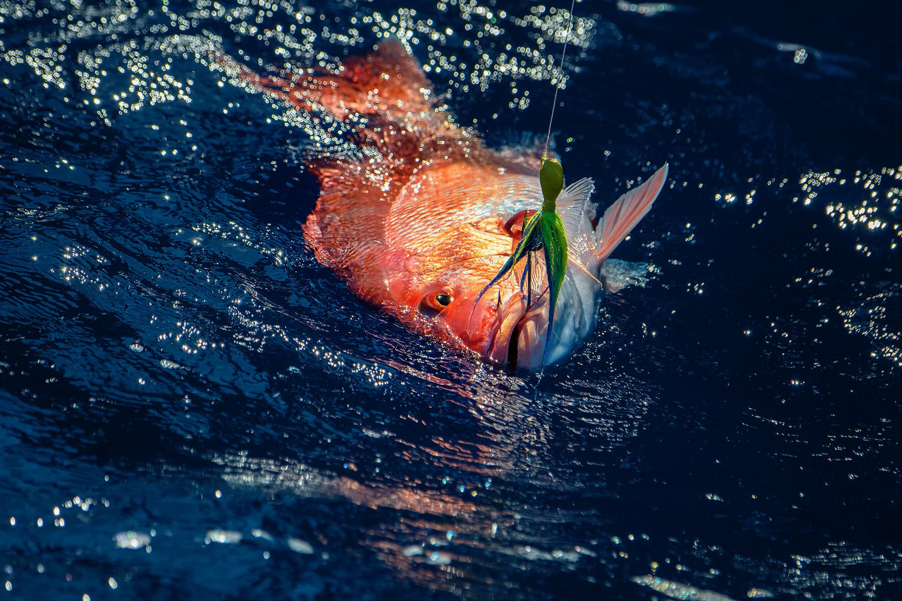 Go-To Catch Anything Rig That Every Boat Should Have… Every Time You Leave The Dock - Ft. Capt Scott Walker