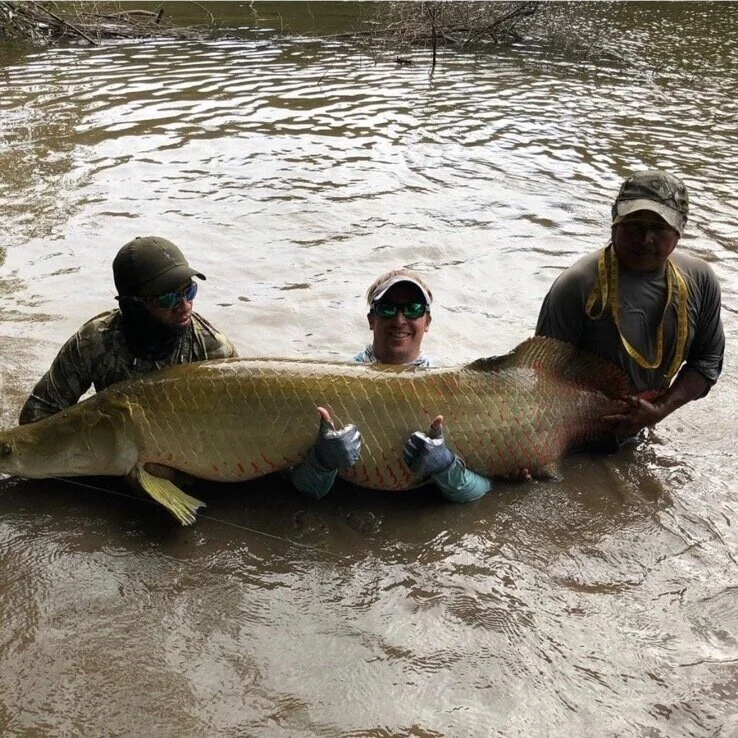 Kyle Gemas - Pursuit Of The 15 Foot 440 Pound Arapaima Jungle Fish