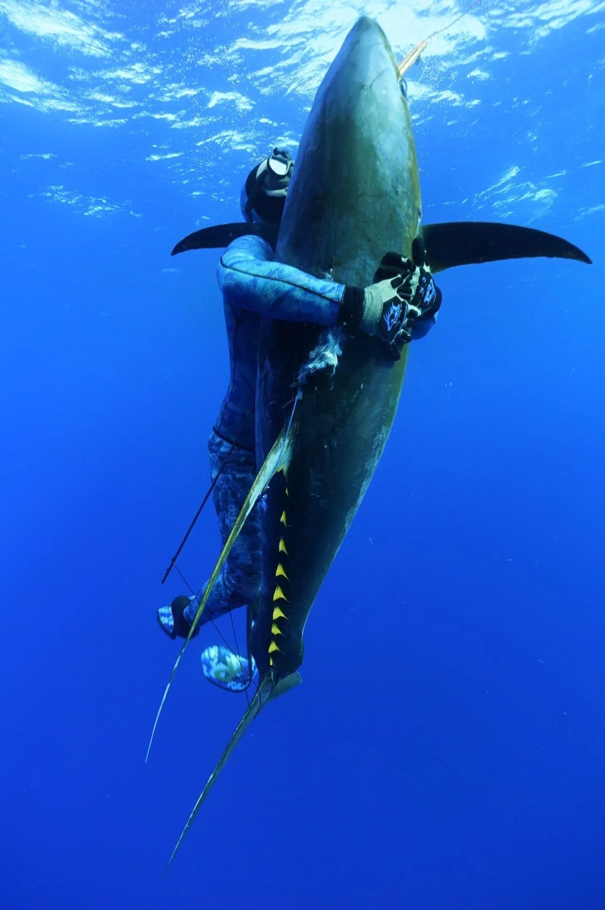 Cameron Kirkconnell - 18 x World Records, 90 Countries Visited, Q&amp;A Podcast