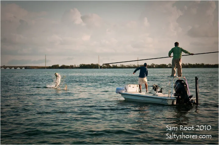 How To Clear The Fly Line For Tarpon