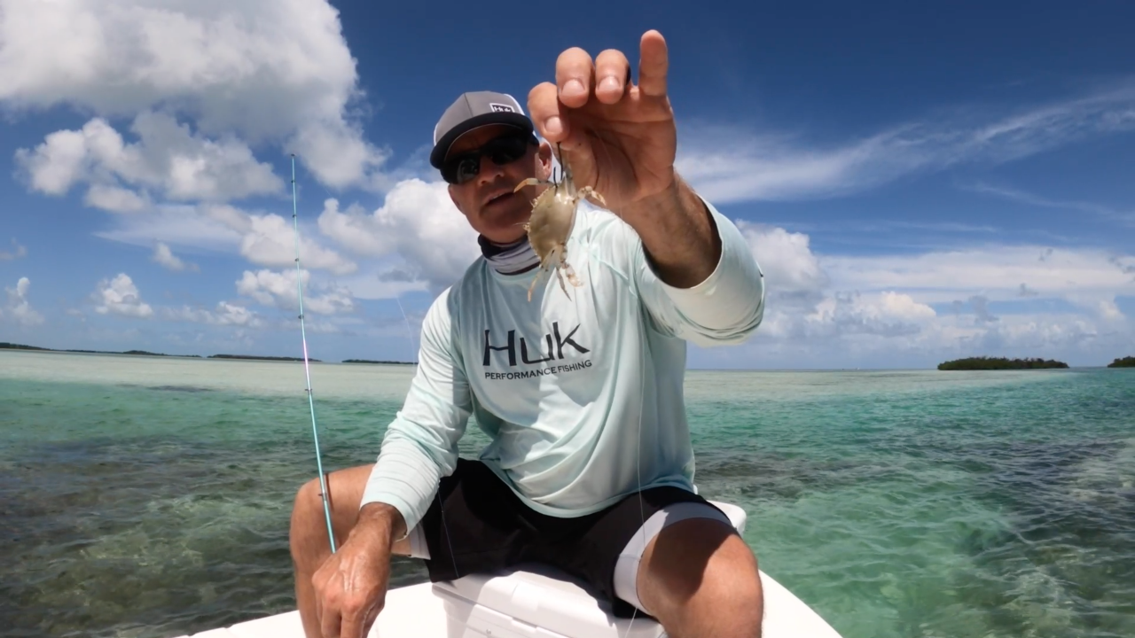 HOW 2 TUESDAY - Permit Fishing With A Live Crab - How to Hook a Live Crab, What Hooks to Use, Rods, Rigs