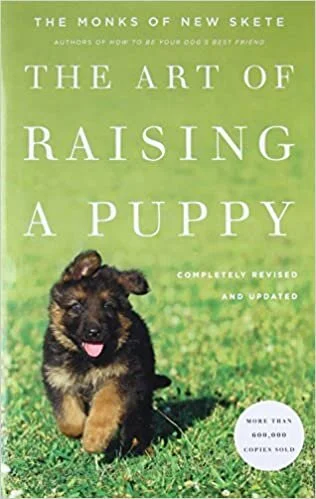 THE ART OF RAISING A PUPPY