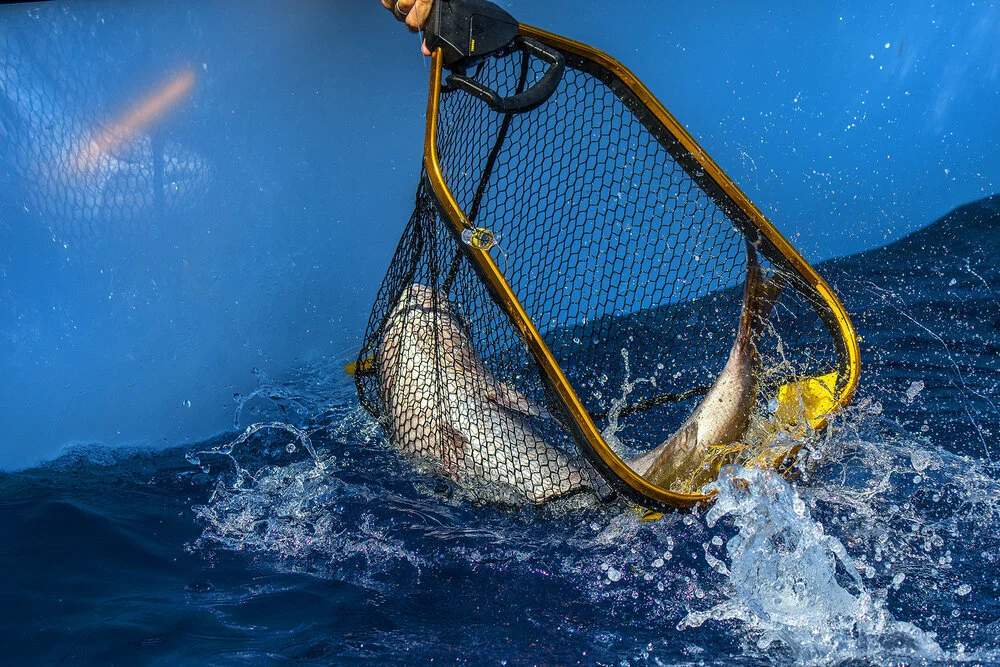 How To Choose A Landing Net For Saltwater Fishing