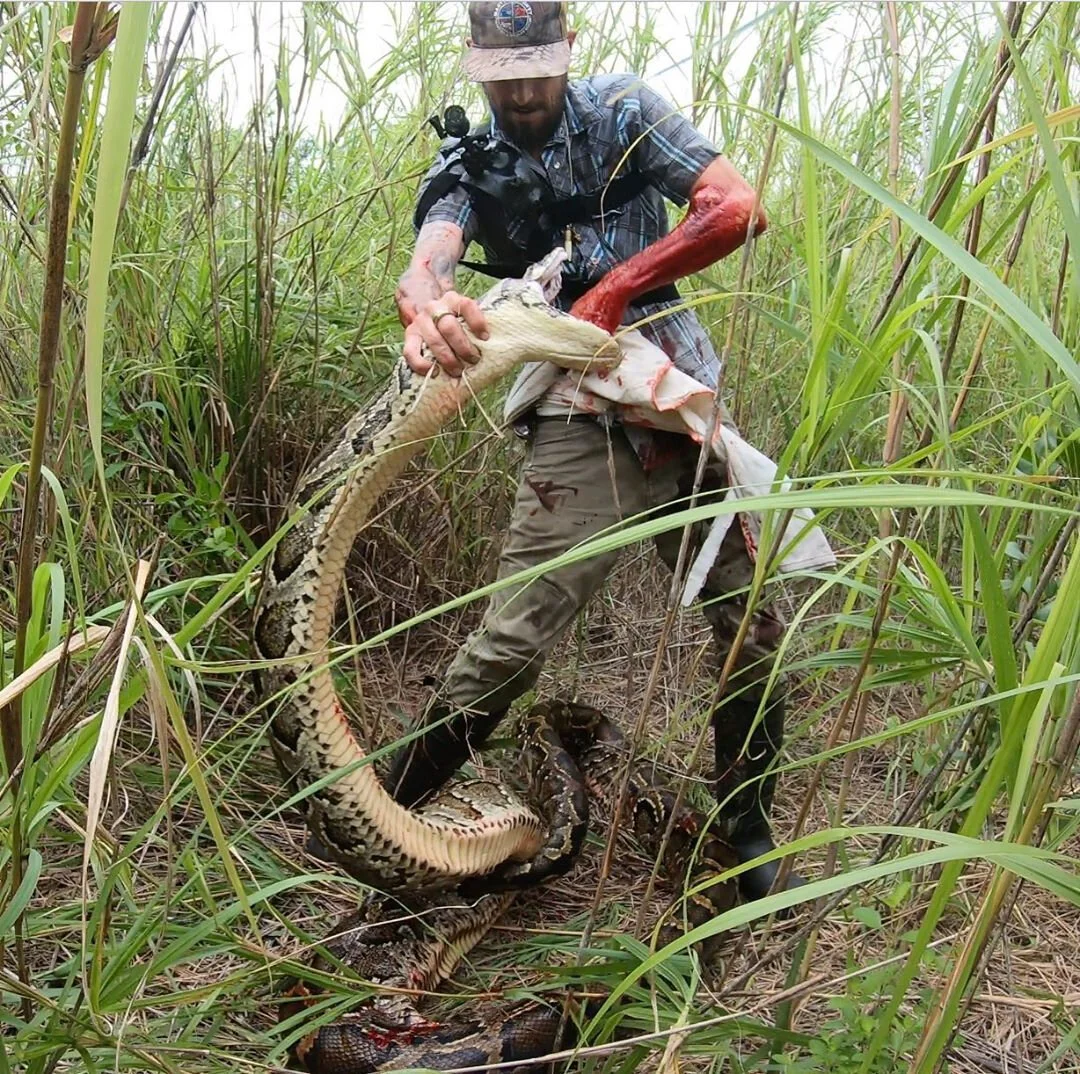 Conservationist Mike Kimmel AKA The Python Cowboy