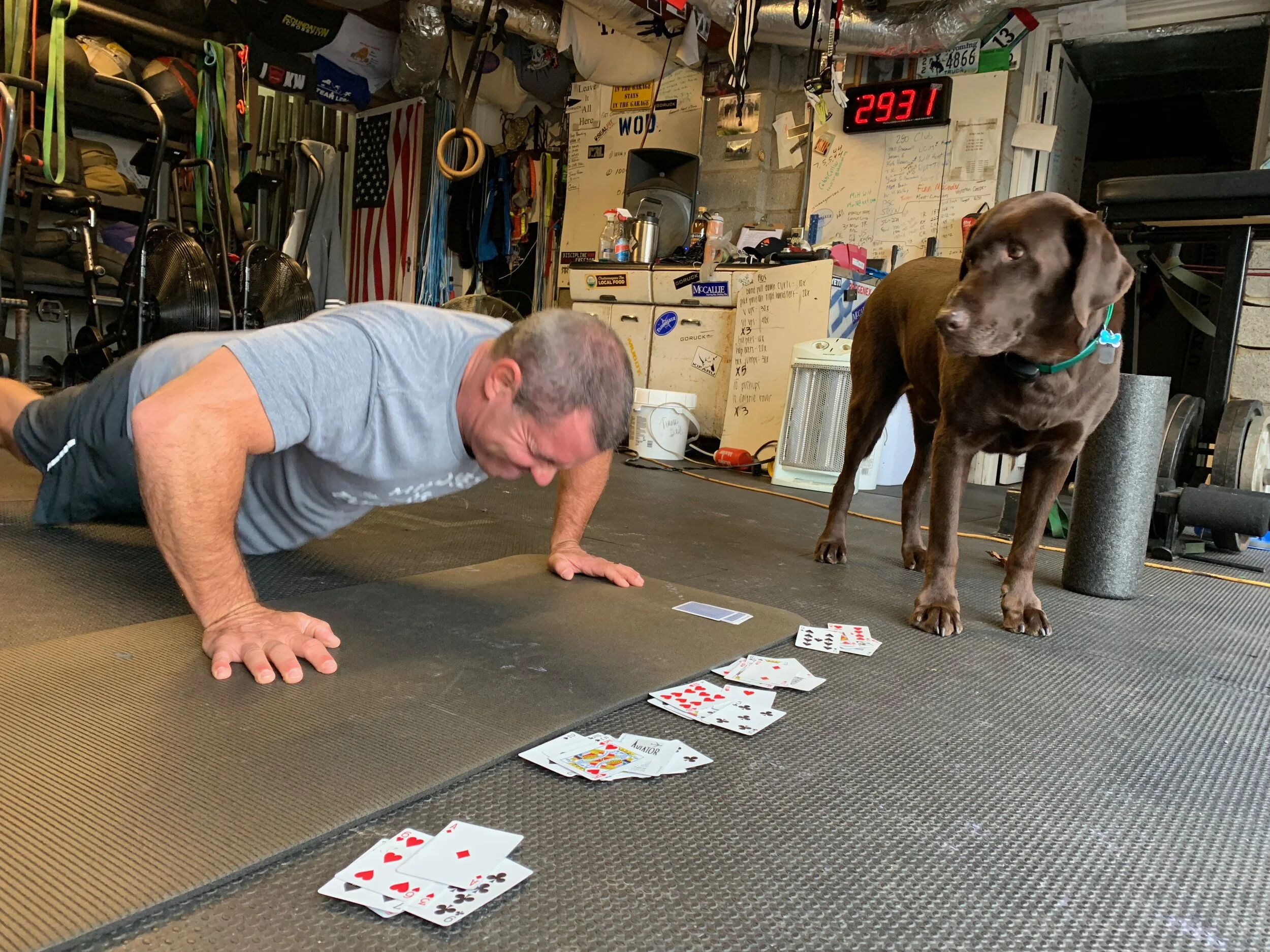 The BURPEE - Progressions That Allow Anyone To Work Their Way To Full Burpees