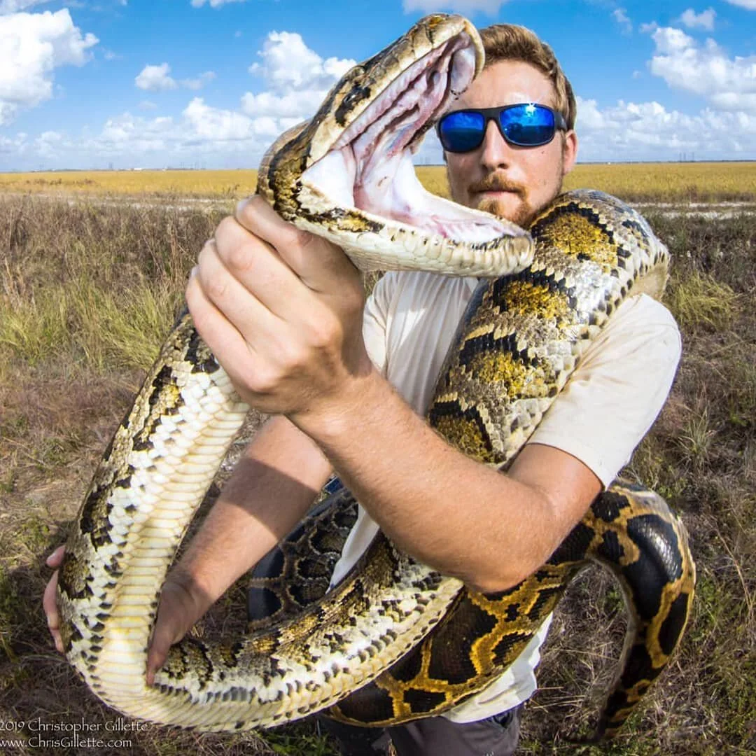 How To Avoid Dangerous Snakes In The Wild