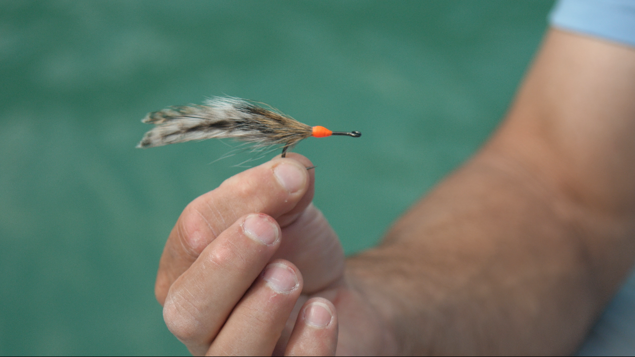 How To Keep Your Flies And Jigs Looking Like New