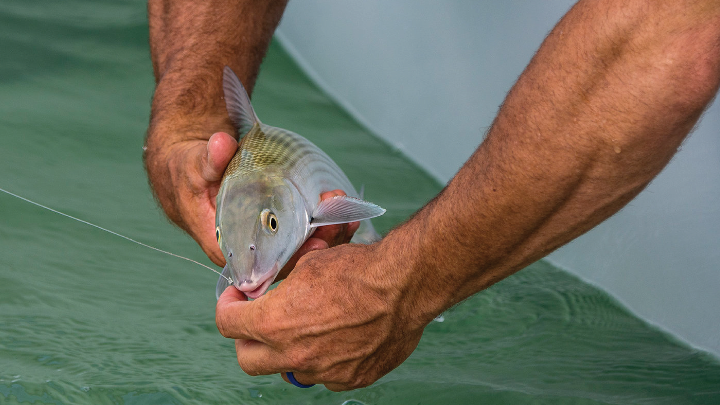 How To Tie A Bonefish Leader - The Lefty Kreh Method