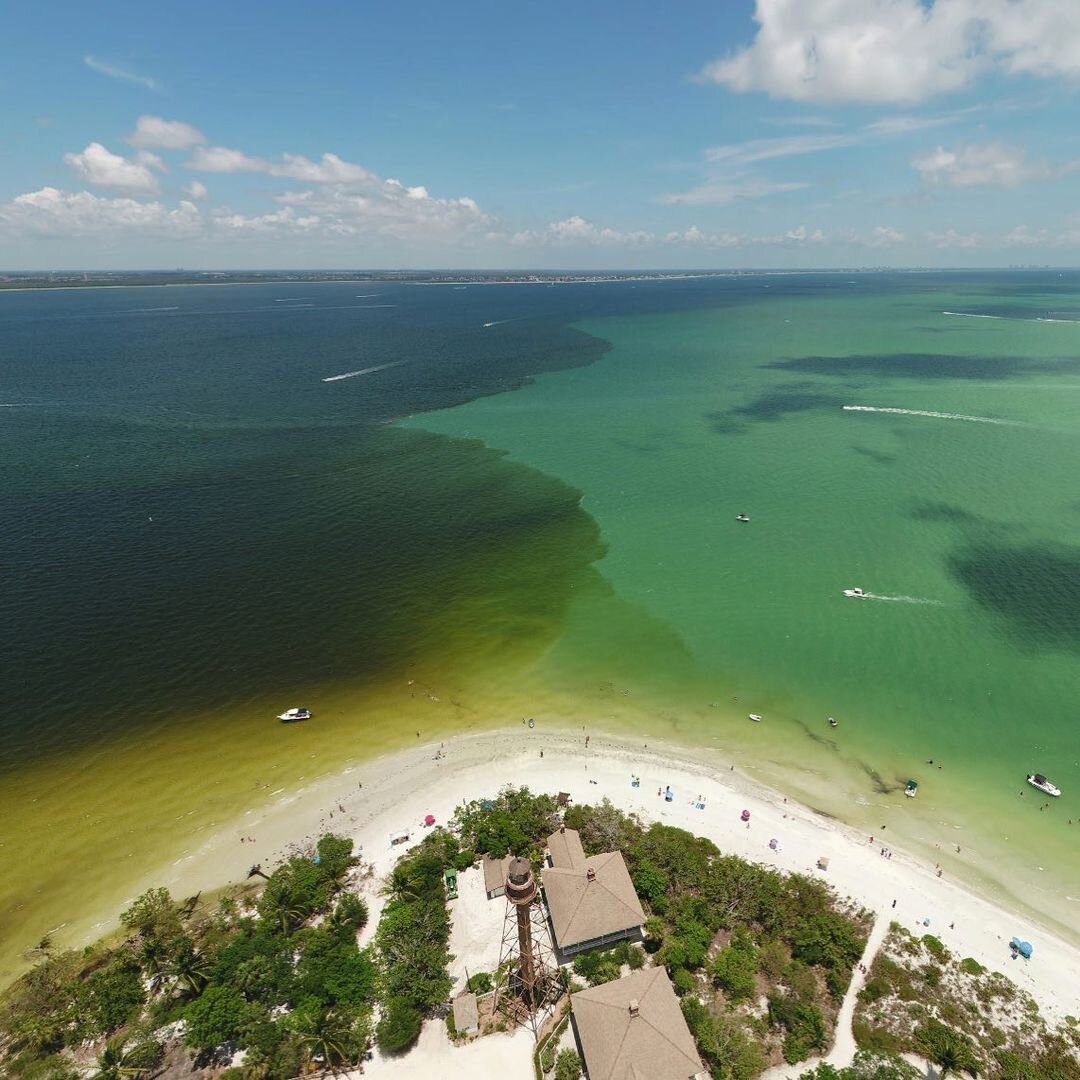 How 2 Tuesday - Catastrophic Tampa Fish Kill Rallies Out Of State Angler