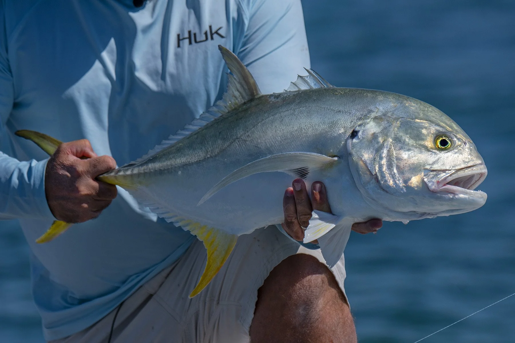 Dr. Jennifer Rehage &amp; Carissa Gervasi - FIU’s Jack Crevalle Study - EPISODE #570