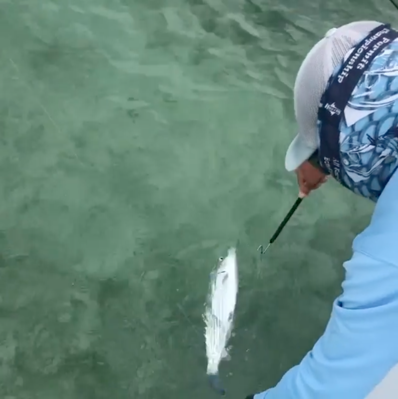 How 2 Tuesday - How To Release A Fish For Max Survival - EPISODE #608