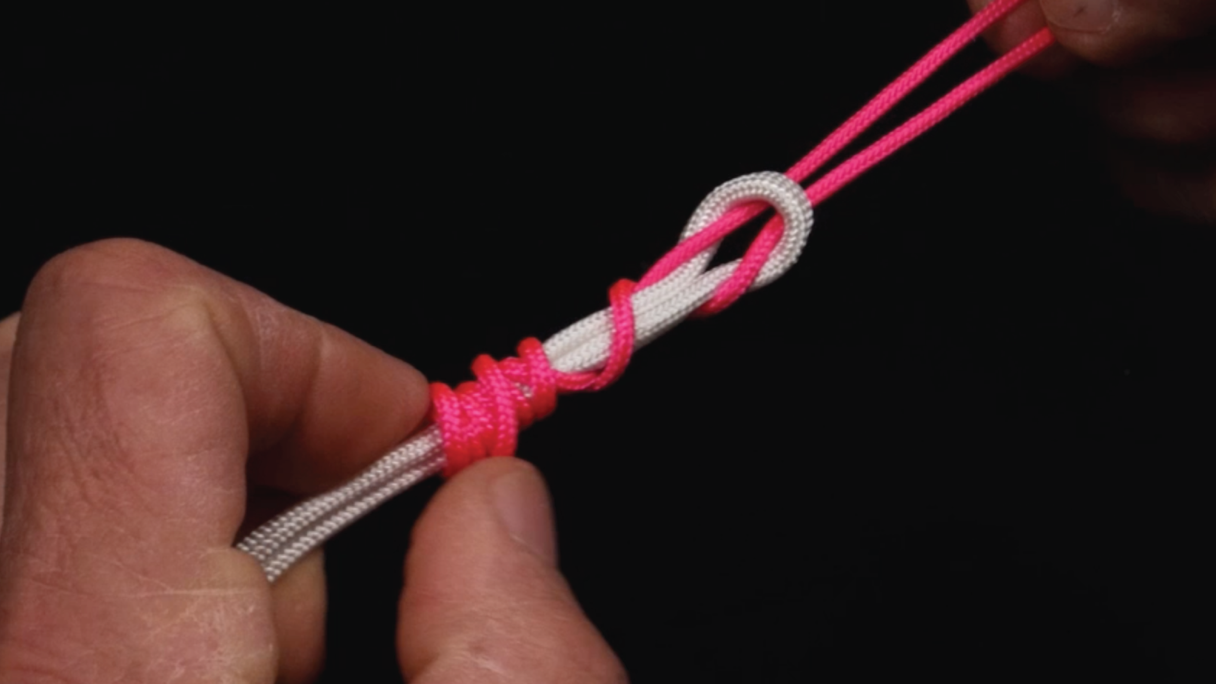 How 2 Tuesday- The Albright vs. The Alberto - Line to Lure Knots - Episode #638