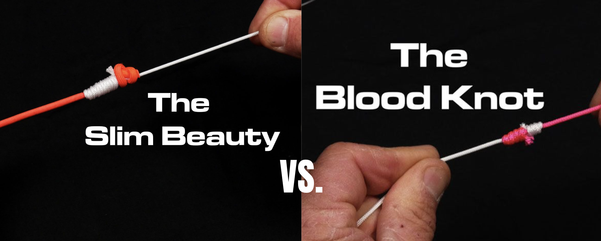 How 2 Tuesday - Slim Beauty vs. Two Turn Blood Knot - Episode #647