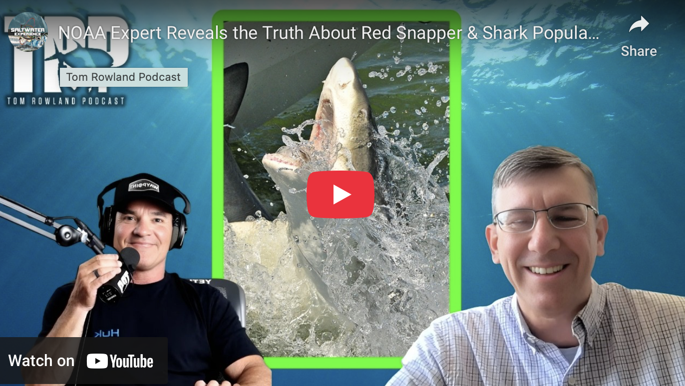 The Red Snapper Data Divide: Why Anglers See Fish—and NOAA Says They’re Rebuilding