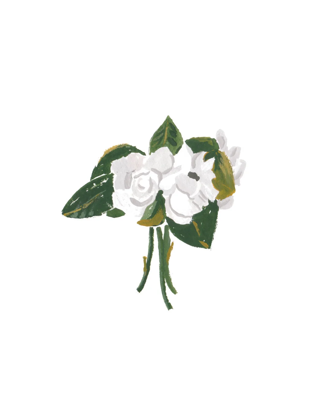 Gardenia.jpg