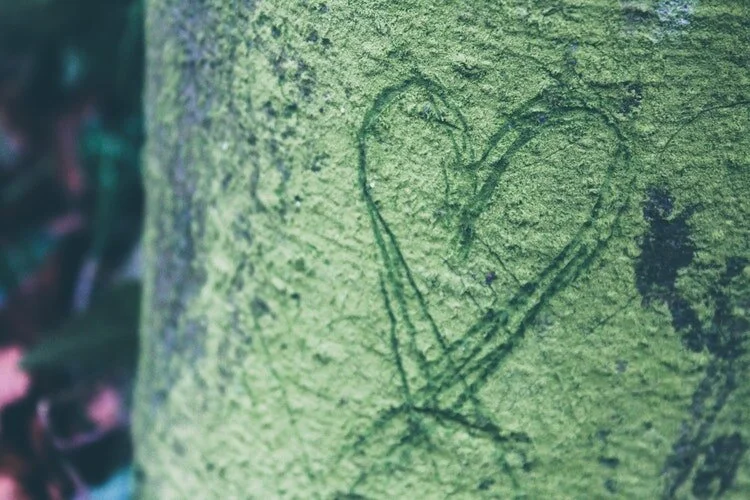 Song of Songs- Part 3: True Worship is Kissing God