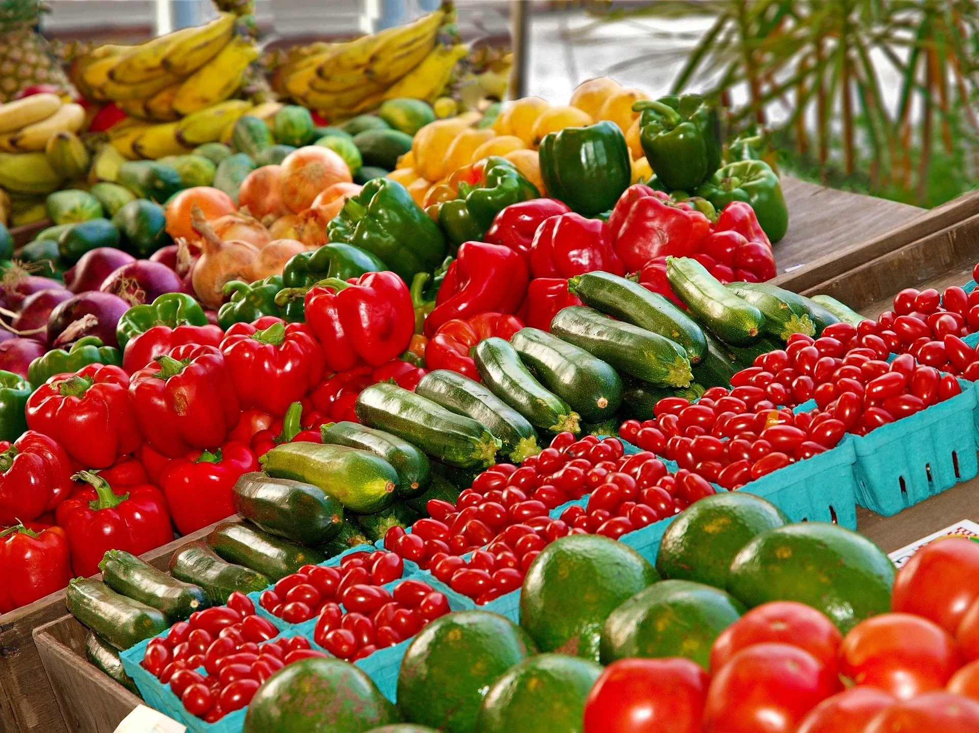 Promises of Provision
