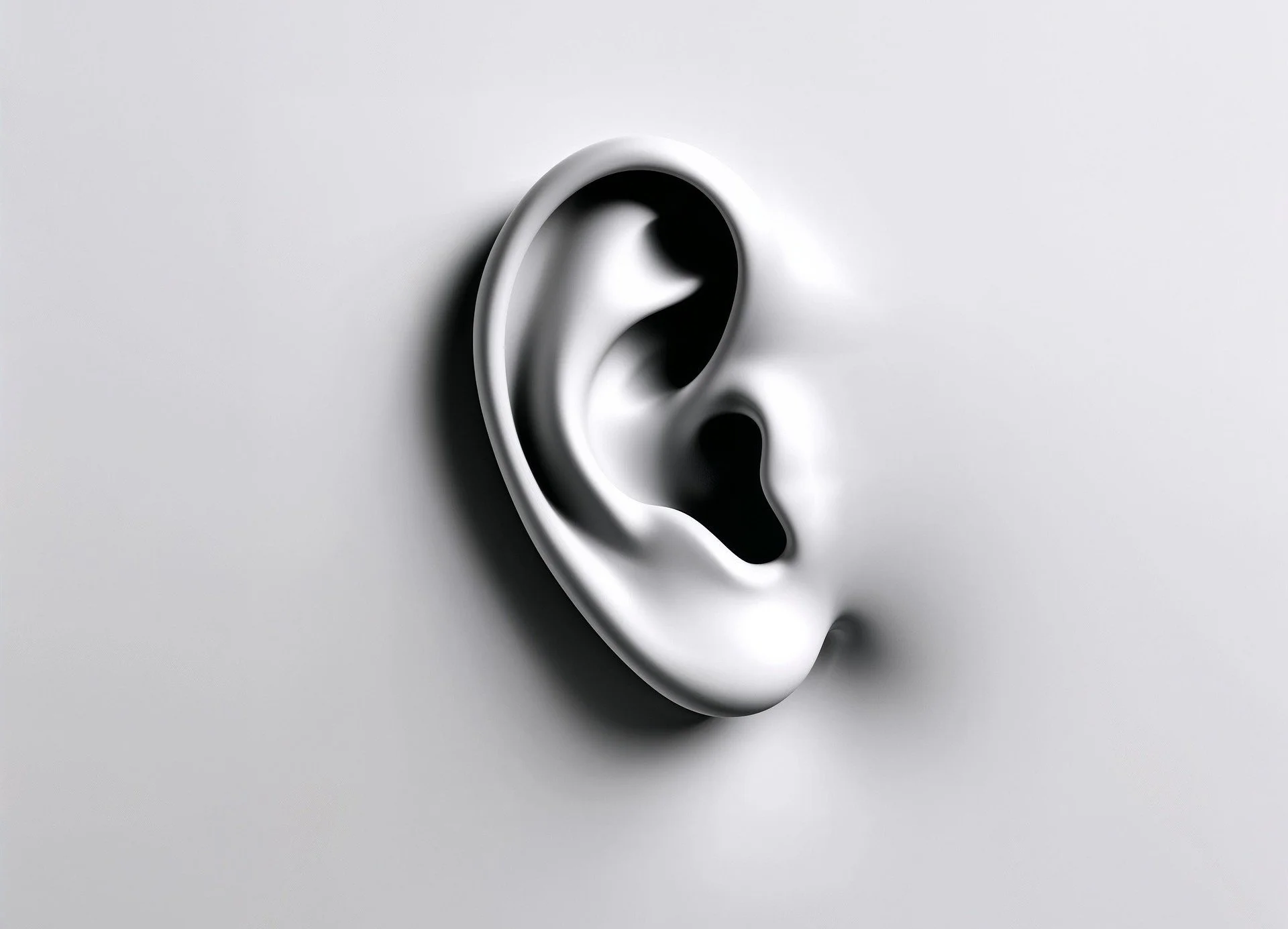 Which Voice?