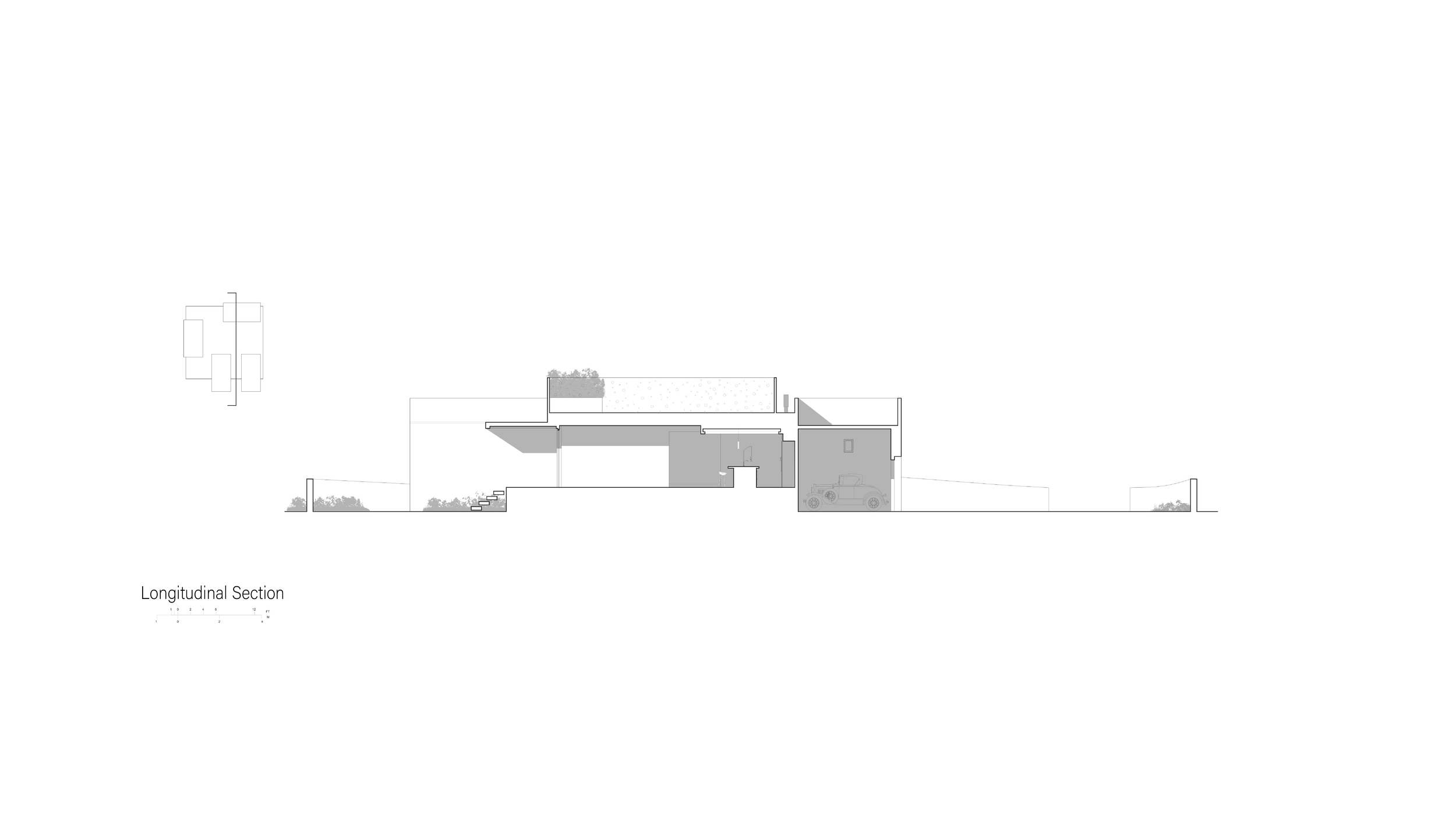 Longitudinal section 1 .png