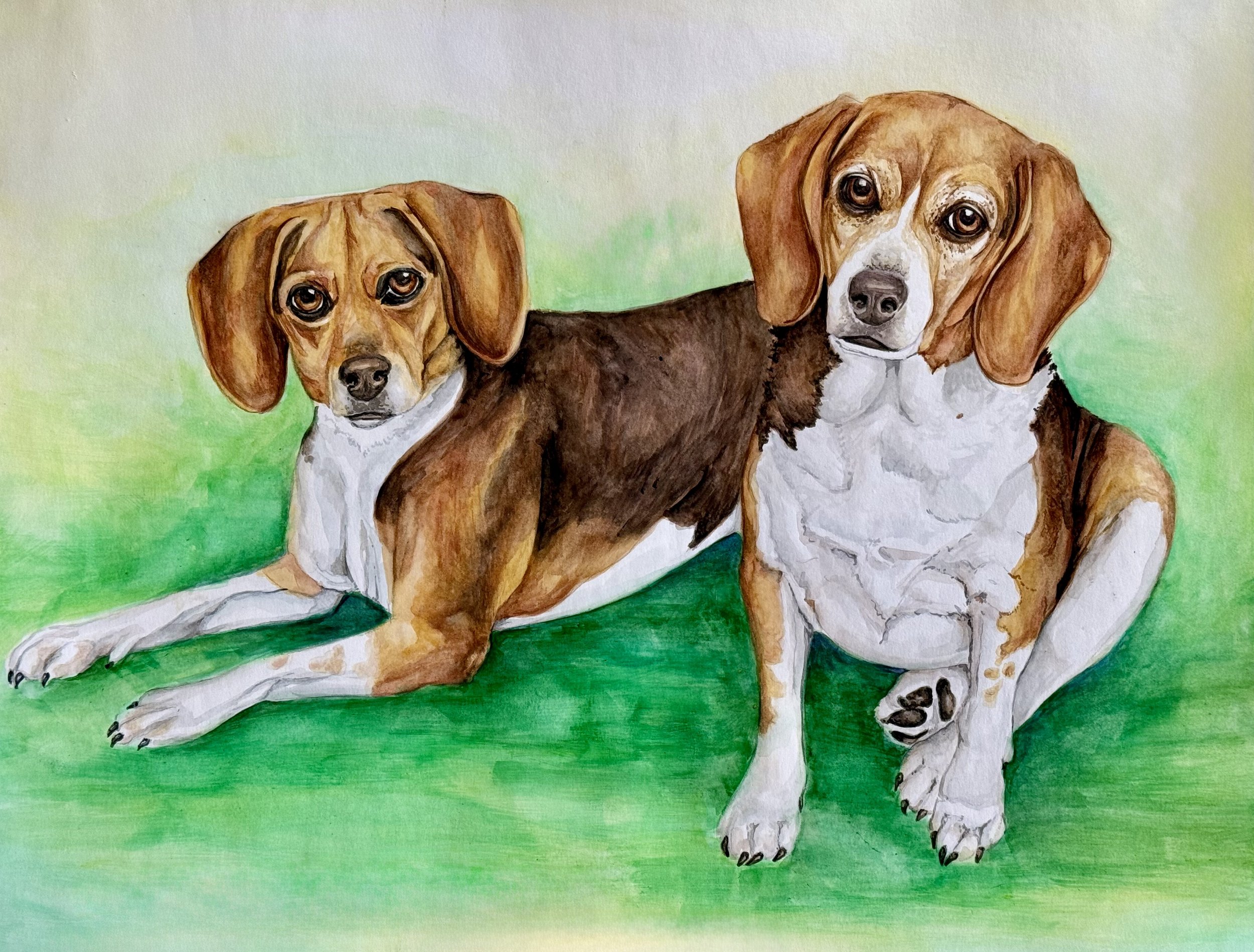 Sadie & Bailey